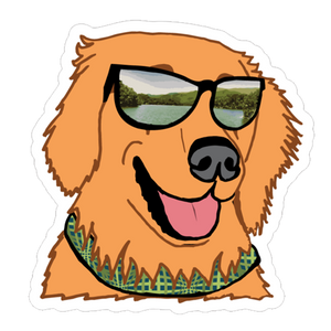 Finn the Golden Retriever Sticker