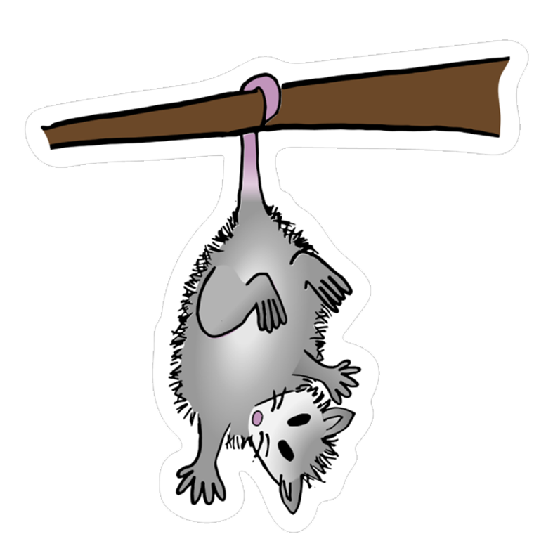 Olive the Opossum Sticker