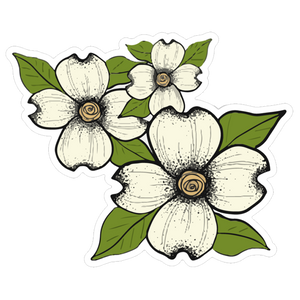 Dogwood Flowers Sticker